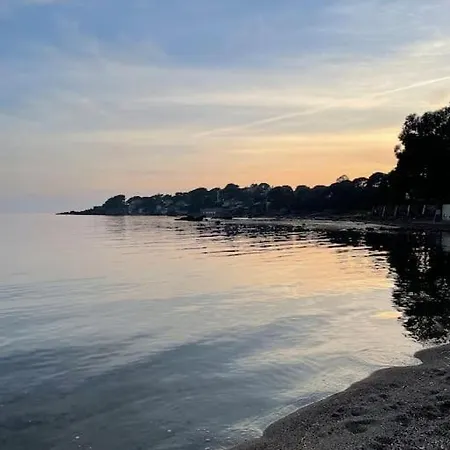 Au Milieu Des Pins A 5 Min A Pied De La Plage! Daire *
