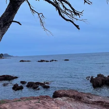 Au Milieu Des Pins A 5 Min A Pied De La Plage! Daire